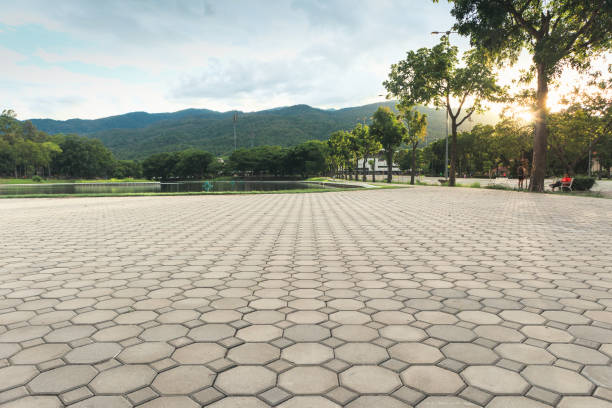Best Driveway Paving Near Me  in Baldn, WI